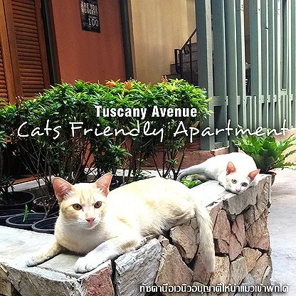 รูปภาพ Tuscany Avenue Service Apartment  //Free Wi-Fi | อพาร์ทเม้นท์ หอพัก ที่พัก ห้องพัก - รูปที่ 17/32